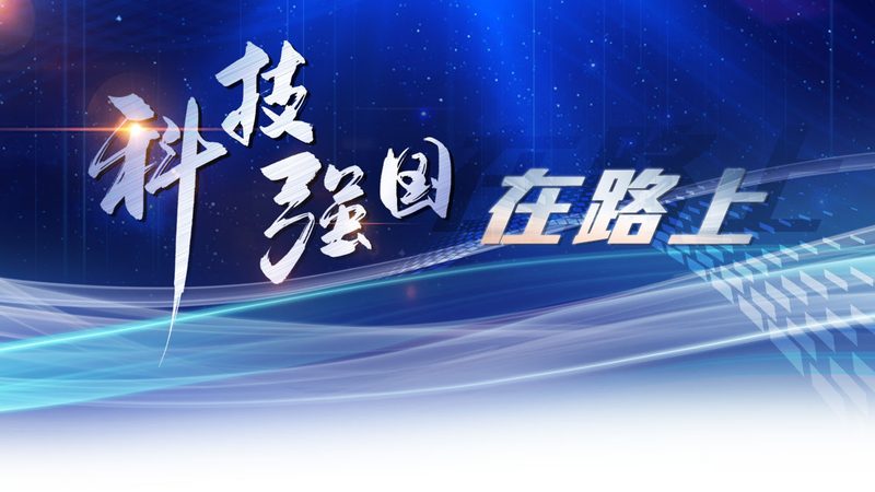 知识图谱图数据库：构建智慧数据的基石